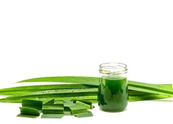 7 Manfaat Menakjubkan Daun Pandan bagi Kesehatan Anda