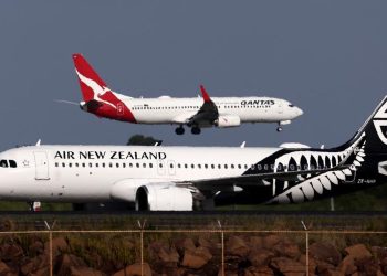 Banyak Staf Terluka, Maskapai Larang Penerbangan dengan Hewan Besar