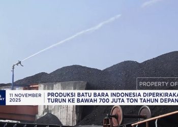 Kelola Operasional Whoosh dan Siapkan Redenominasi di Iran