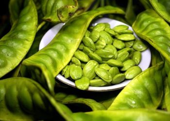 Bahaya! 4 Kelompok yang Dilarang Mengonsumsi Petai