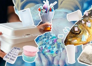 Warga RI Terbanyak di Dunia Konsumsi Mikroplastik, Berikut Sumbernya