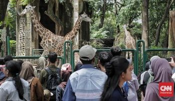 Panduan Wisata ke Kebun Binatang Ragunan untuk Libur Sekolah