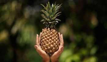 Enak dan Kaya Vitamin Namun Kelompok Ini Ternyata Dilarang Makan Nanas