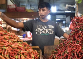 Harga Bawang Merah dan Cabai Meroket menjelang Akhir Tahun