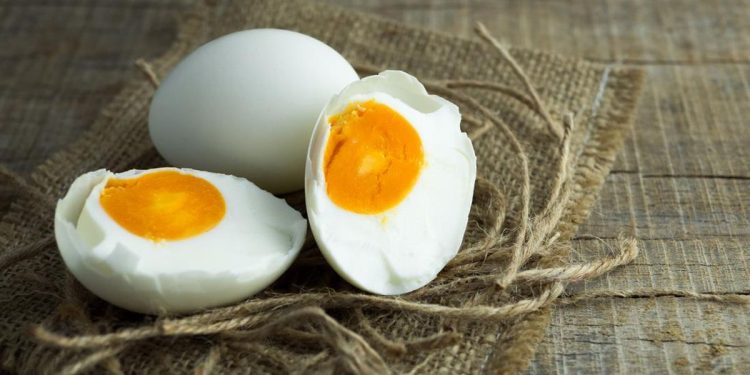 Dampak Makan Telur Setiap Hari Menurut Pendapat Ahli