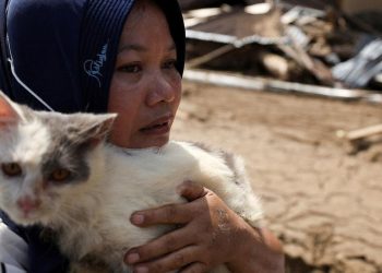 Kisah Cinta Kucing dan Pemilik di Tengah Bencana Sumatera
