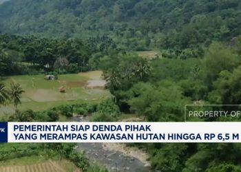 Siapkan Denda Rp1,25-6,5 M untuk Perampas Hutan oleh Pemerintah