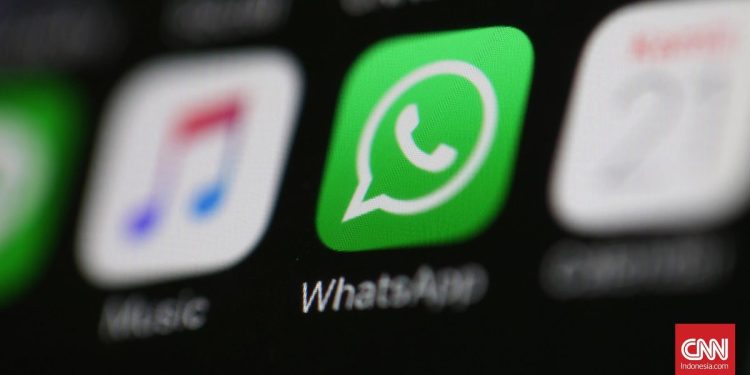 Uji Fitur Premium di WhatsApp dan Instagram Wajib Berlangganan