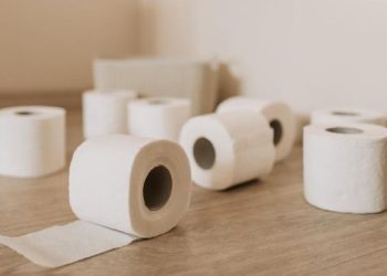 Mengapa Orang Barat Menggunakan Tisu untuk Bersih Setelah Buang Air? Ini Alasannya