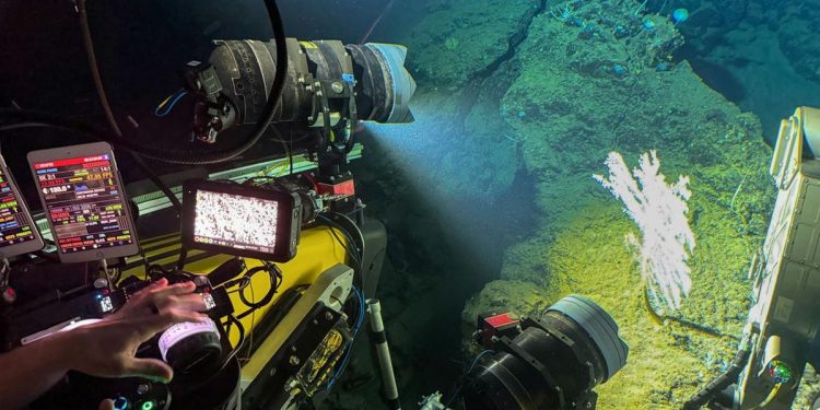 Menyelami Keindahan Hidup Laut Dalam di Sulawesi