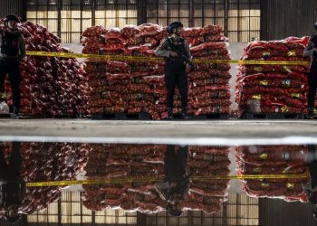 Mentan Sidak 1335 Ton Bawang Bombai Ilegal Disita di Semarang