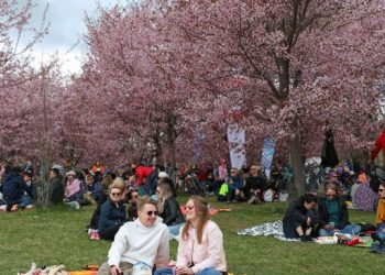 Warga Finlandia Terbahagia di Dunia, Ini 3 Rahasianya