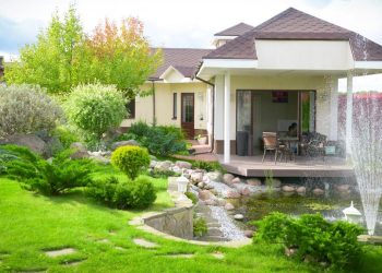 7 Buah yang Bisa Ditanam di Depan Rumah Tanpa Membutuhkan Lahan Luas