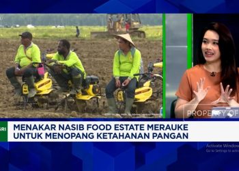 Dampak Food Estate Merauke terhadap Warga dan Ekonomi Daerah